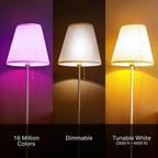 Kasa Smart Wifi Bulbs A19 9W – 16 Million Colors + Warm/Cool White, Alexa/Google