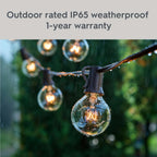 20-Count G40 Clear Glass Globe outdoor patio string lights with brown wire and clear incandescent bulbs