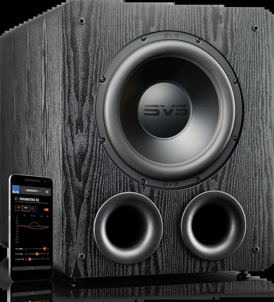 Unleash the Power of Sound with the PB-2000 Pro Subwoofer