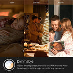 Kasa Smart Wifi Bulbs A19 9W – 16 Million Colors + Warm/Cool White, Alexa/Google